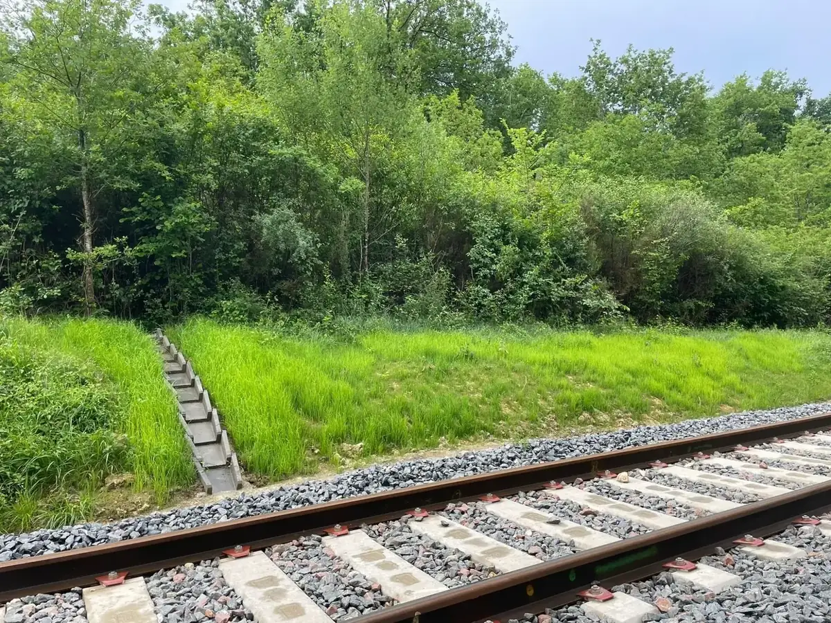 Descente d'eau DE02 dans un talus végétalisé — ligne Niort-Saintes